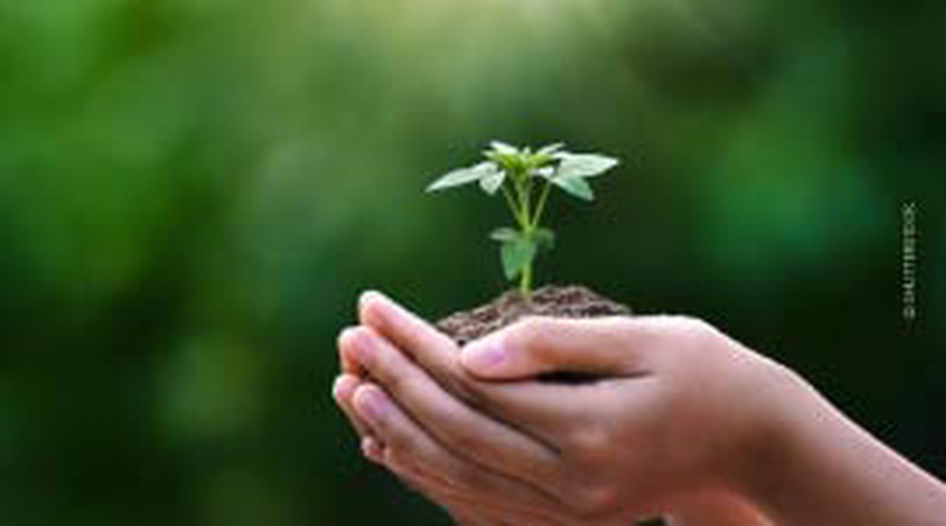 2nd International Congress on Climate Change: Towards Decarbonization