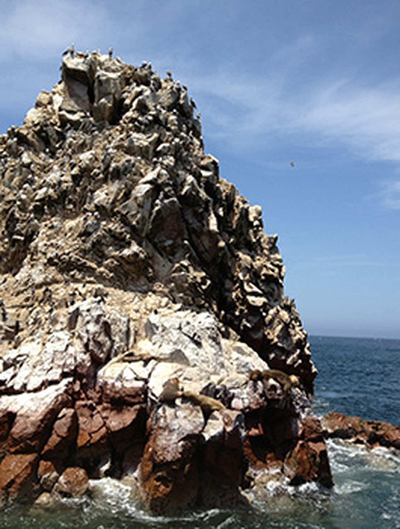 Paracas