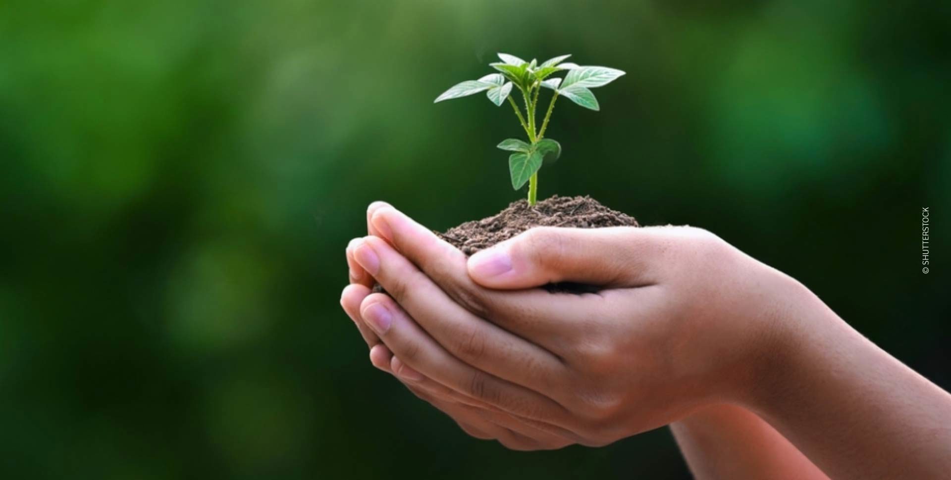 II Congreso Internacional de Cambio Climático: Rumbo a la Descarbonización