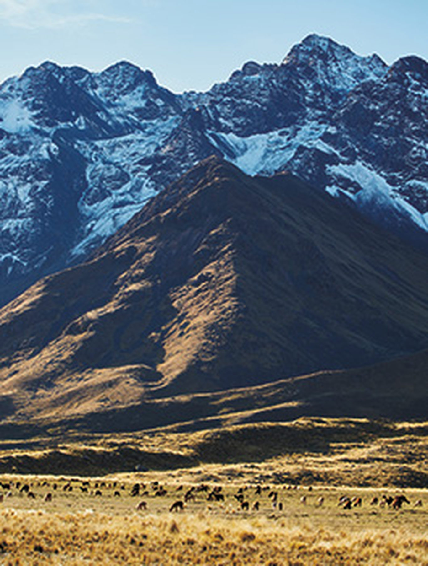 Trem de luxo Andean Explorer